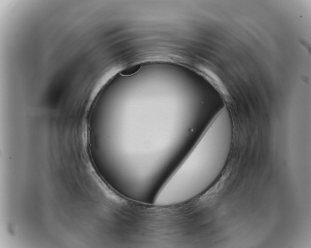 X0000096160804200801180850