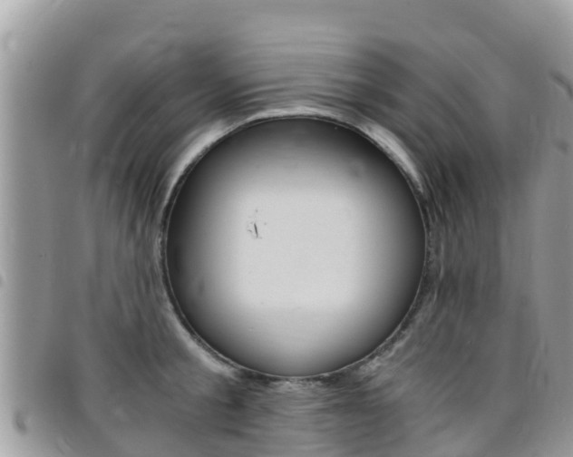 X0000096160805200801180850