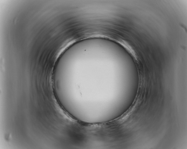 X0000096160806200801180850