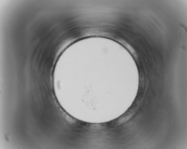 X0000096160807200801180850