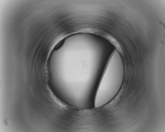 X0000096160808200801180850