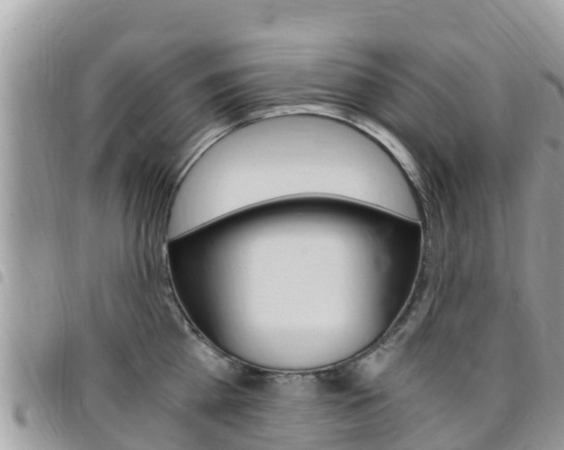 X0000096160809200801180850