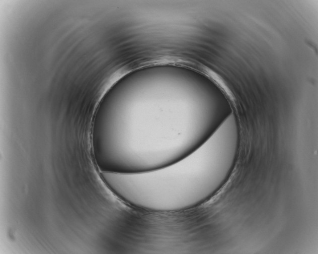 X0000096160810200801180850