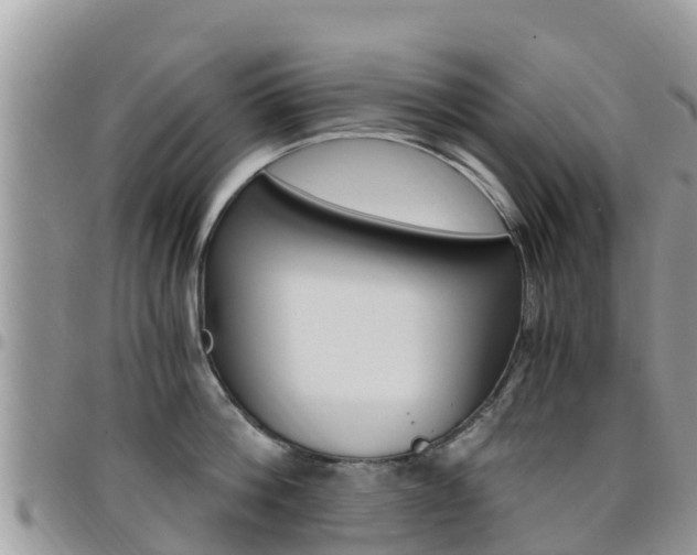 X0000096160812200801180850