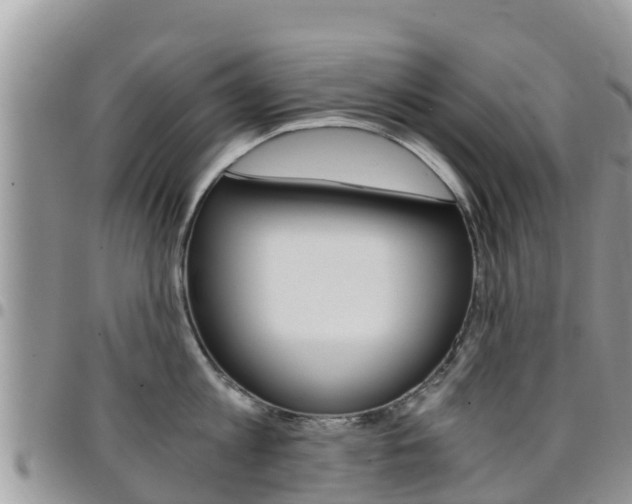 X0000096160813200801180850