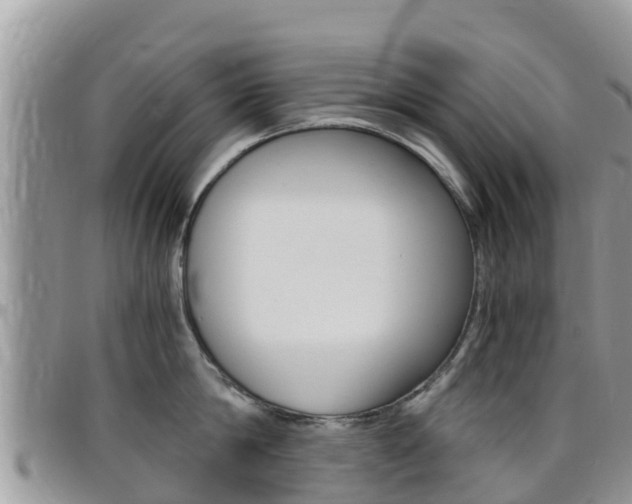 X0000096160814200801180850
