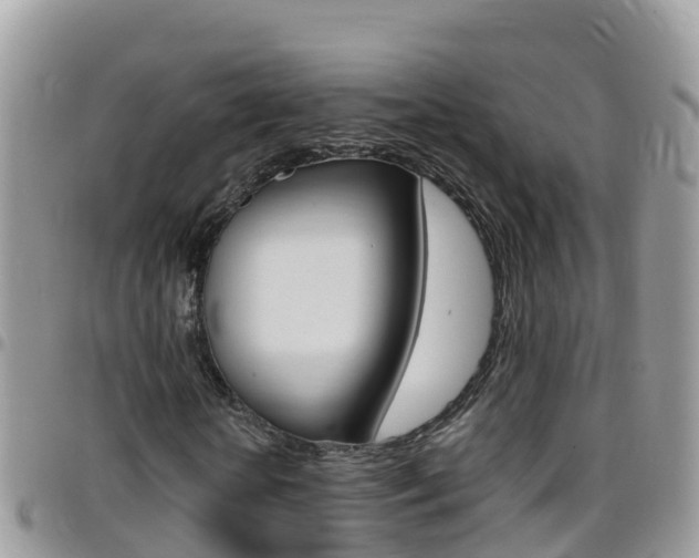 X0000096160818200801180849