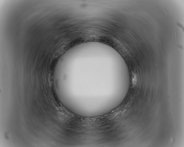 X0000096160819200801180849