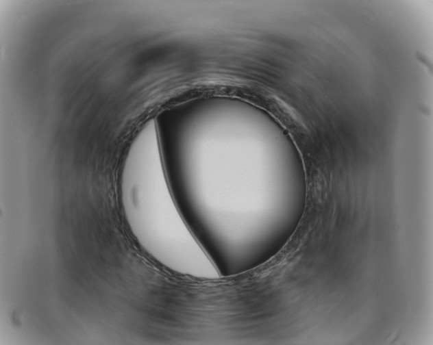 X0000096160821200801180849