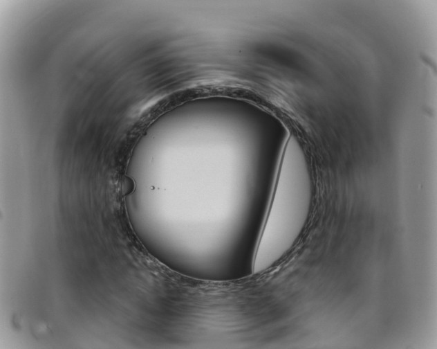 X0000096160822200801180849