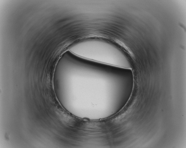 X0000096160825200801180849