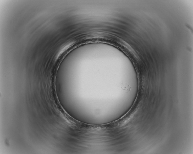 X0000096160826200801180849