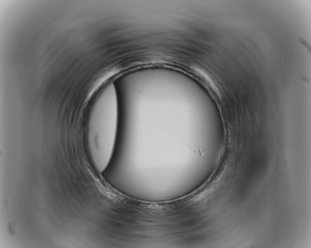 X0000096160827200801180849