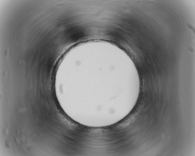 X0000096160828200801180849