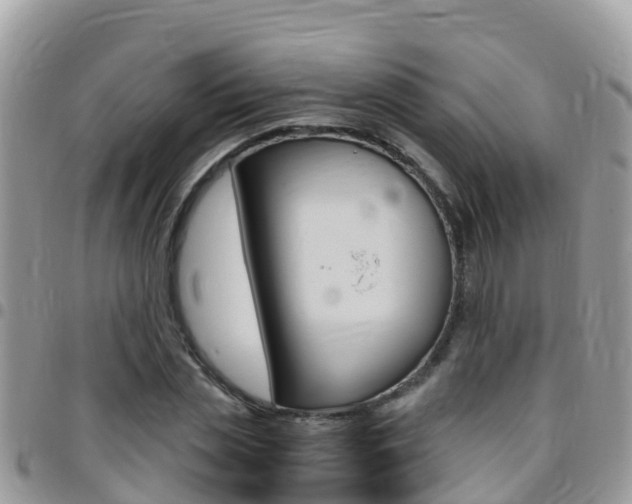 X0000096160829200801180849