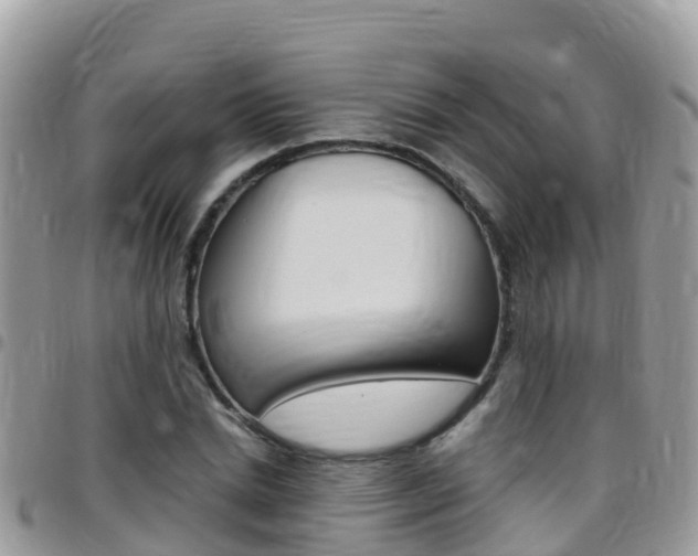 X0000096160830200801180849