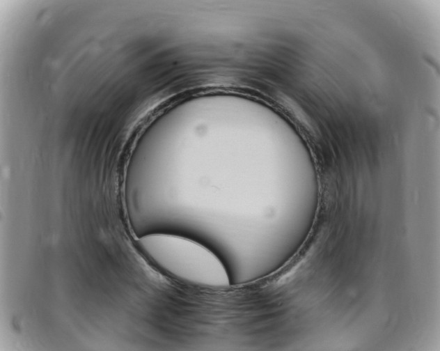 X0000096160831200801180849