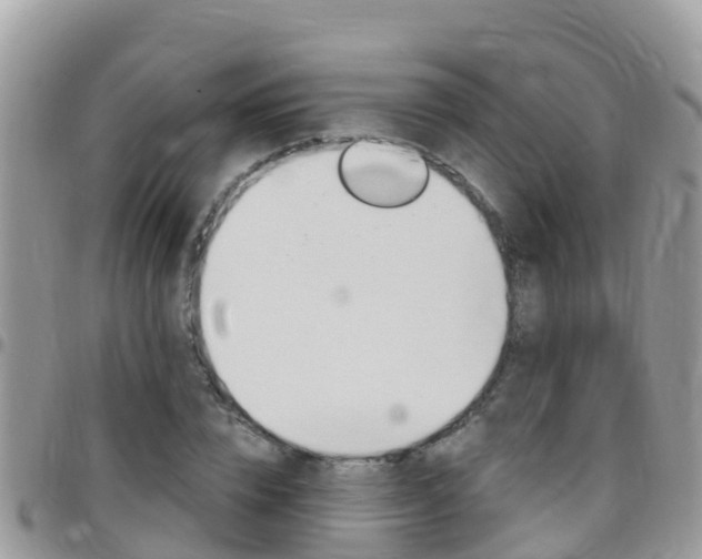 X0000096160832200801180849
