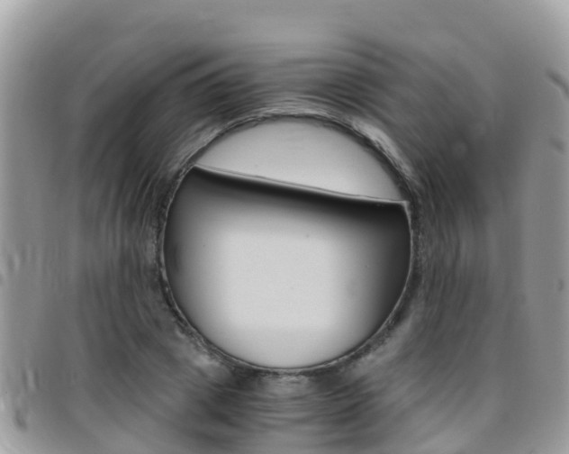 X0000096160833200801180849