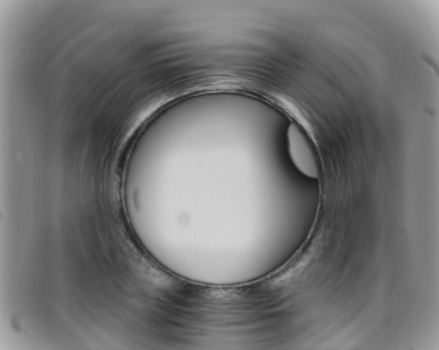 X0000096160835200801180849