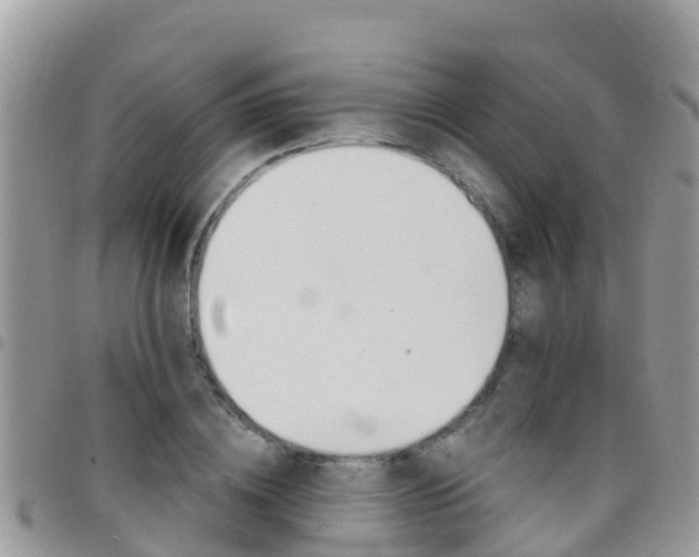 X0000096160836200801180849