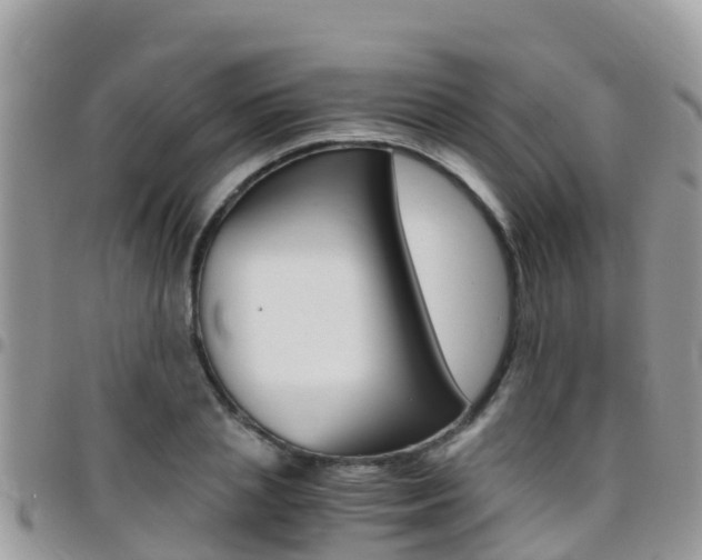 X0000096160837200801180849