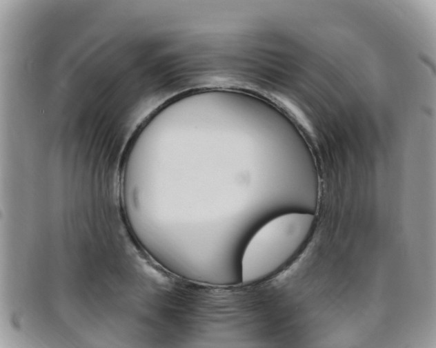 X0000096160839200801180849