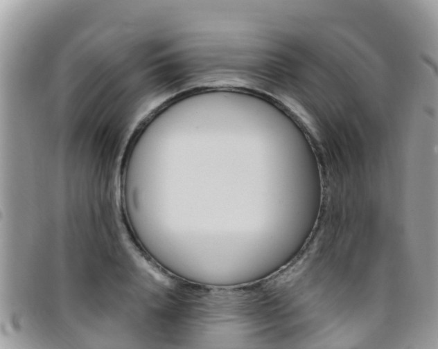 X0000096160840200801180849