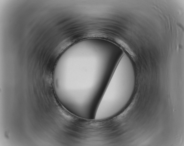 X0000096160841200801180849