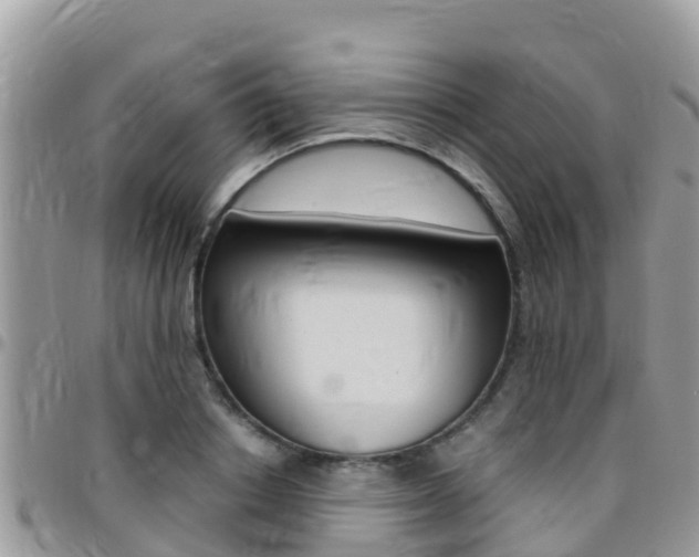X0000096160842200801180849