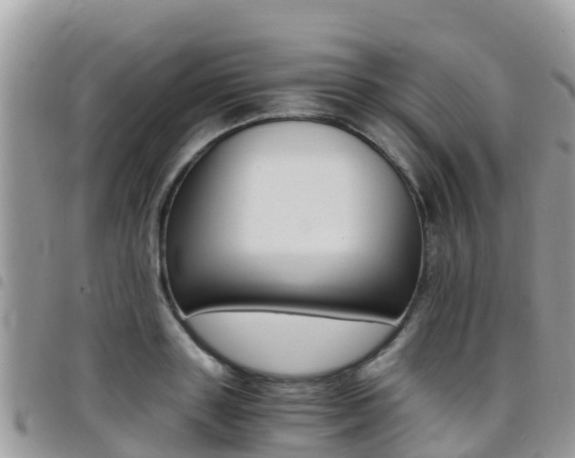 X0000096160843200801180849