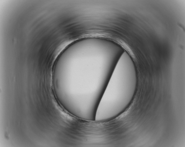 X0000096160844200801180849