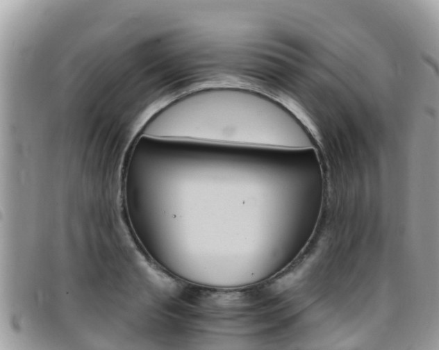 X0000096160845200801180849