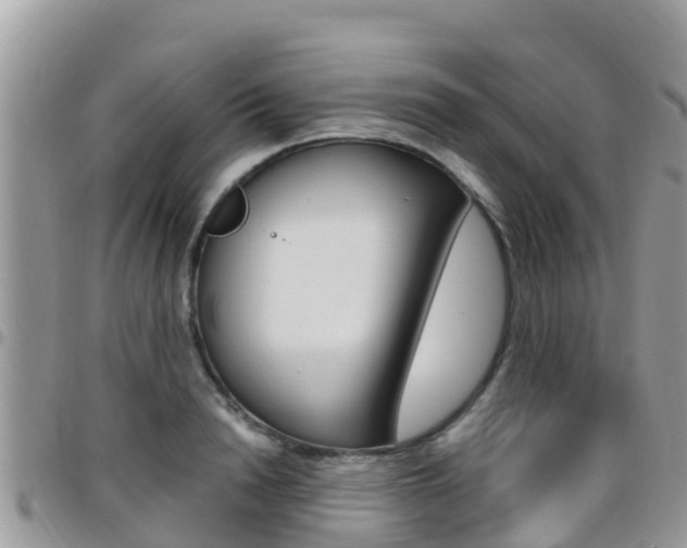 X0000096160846200801180849