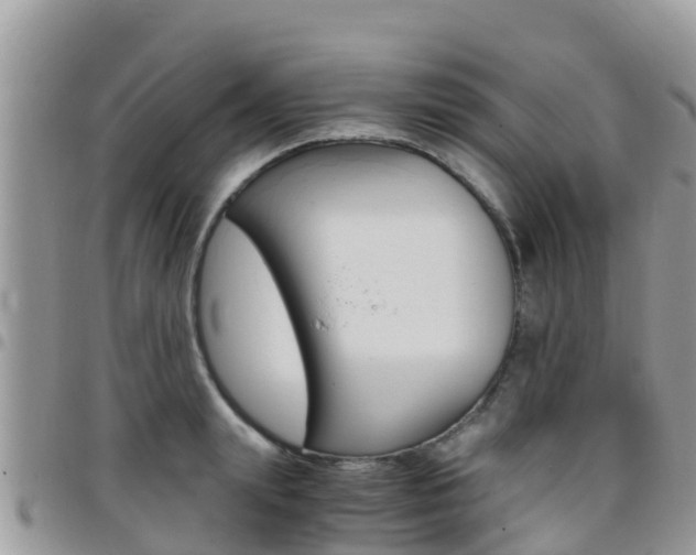 X0000096160847200801180850