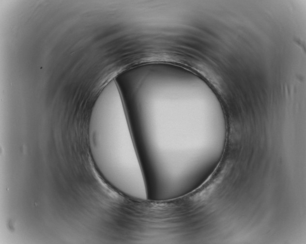 X0000096160849200801180850