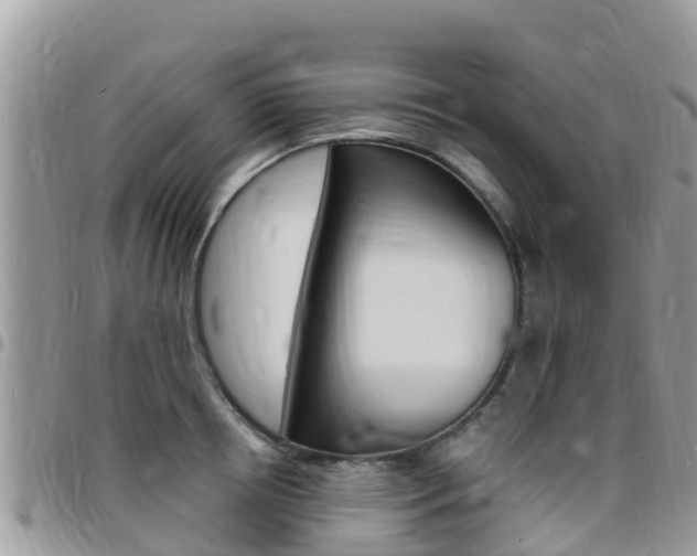 X0000096160850200801180850