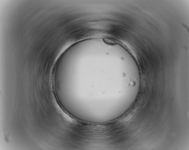 X0000096160851200801180850