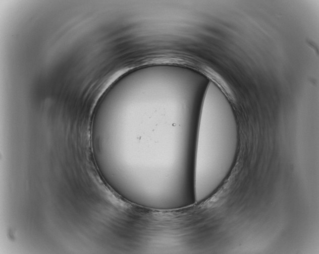 X0000096160852200801180850