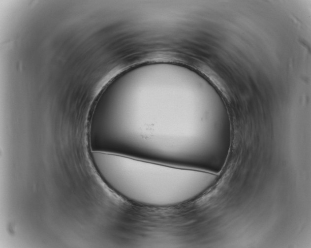 X0000096160853200801180850