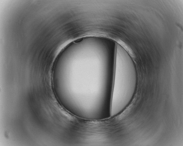 X0000096160854200801180850