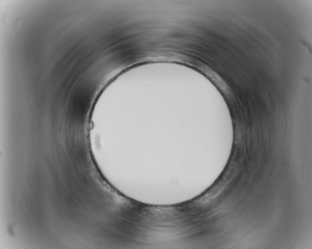 X0000096160856200801180850