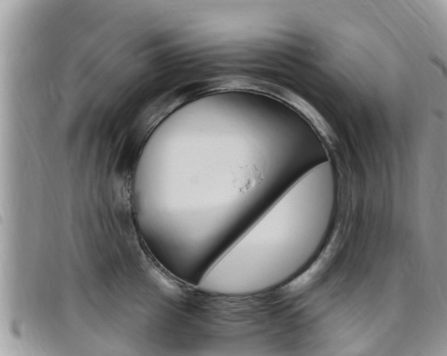 X0000096160857200801180850