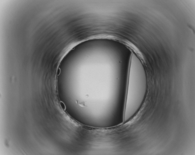 X0000096160860200801180850