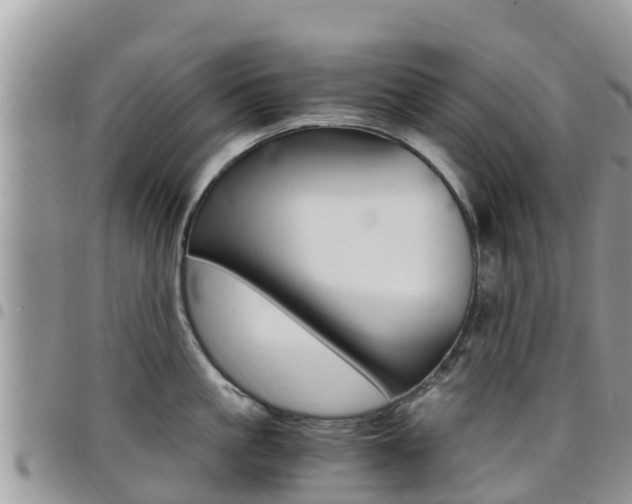 X0000096160861200801180850