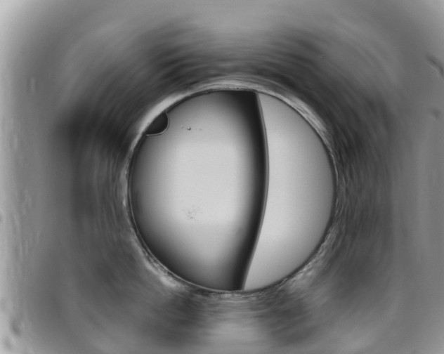 X0000096160862200801180850