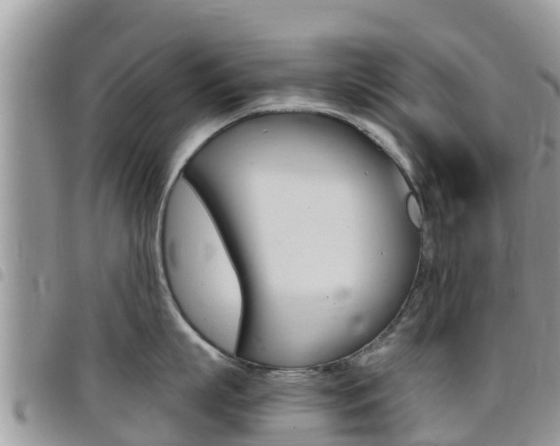 X0000096160863200801180850