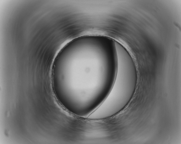 X0000096160864200801180850