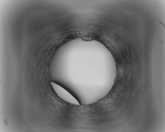 X0000096160865200801180849
