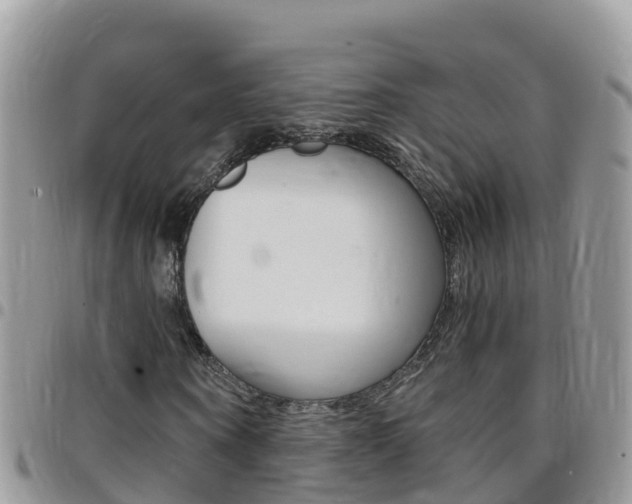 X0000096160866200801180849